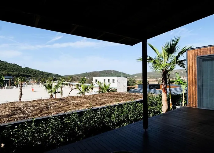 Asha Country אורלה