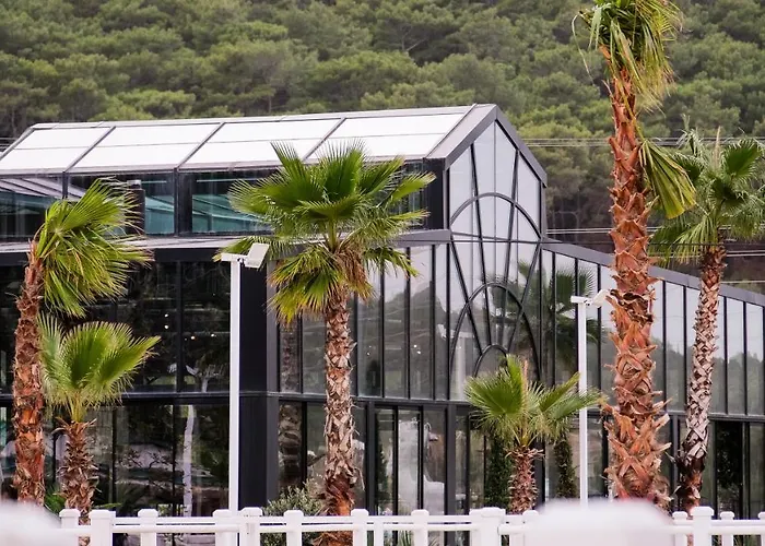 Asha Country מלון אורלה