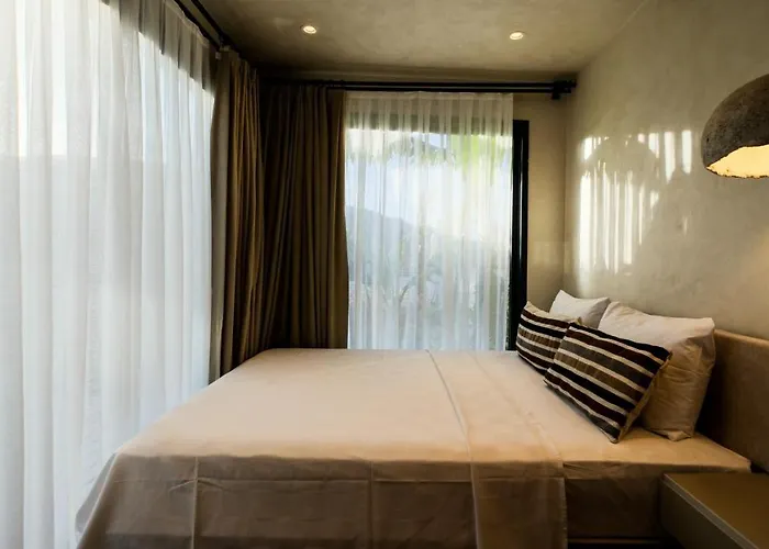 Asha Country אורלה