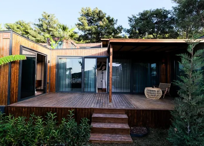 Asha Country מלון *