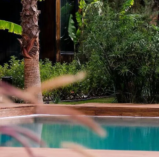 Asha Country אורלה